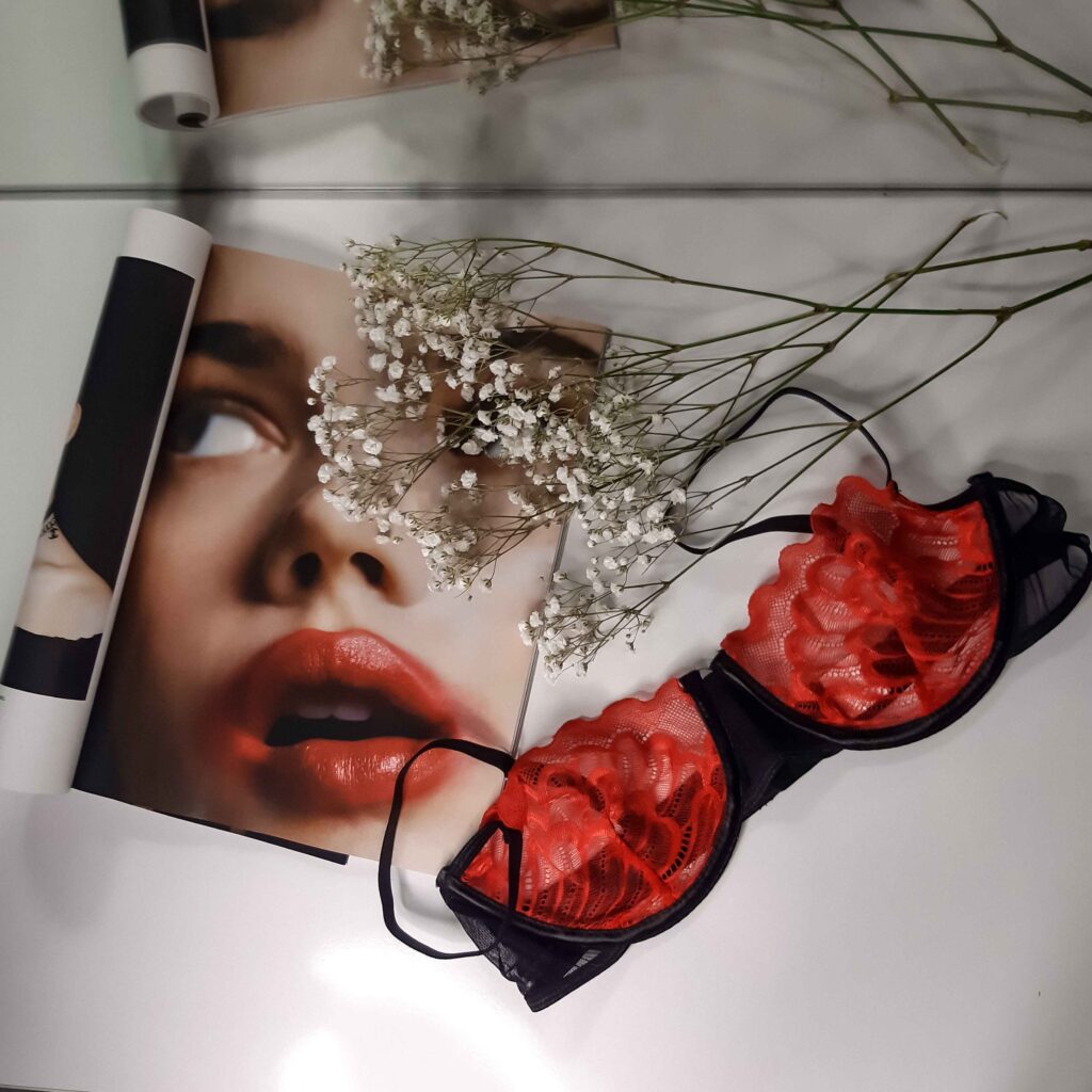 the freaky link lingerie bra garter panties