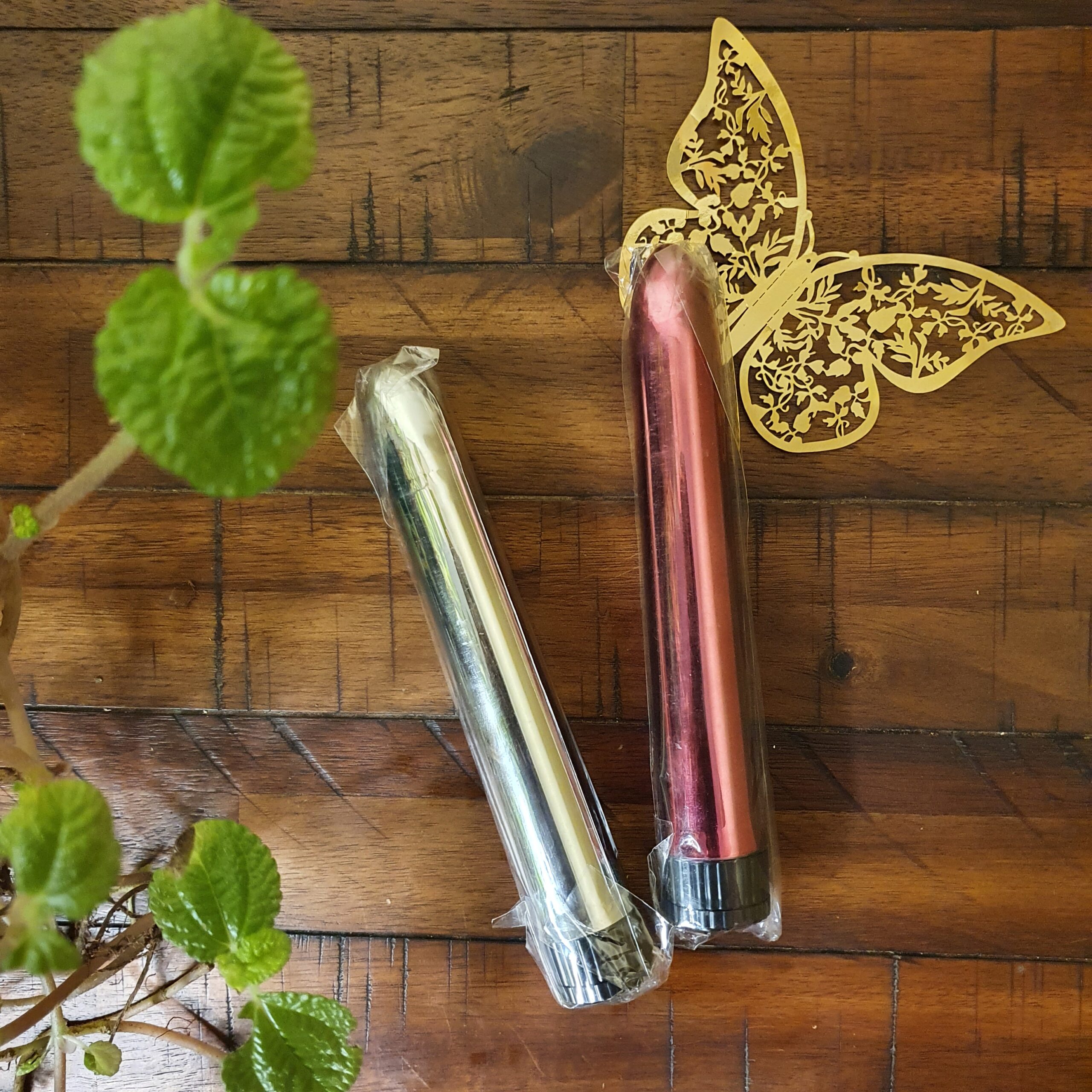 Bullet Point Vibrator