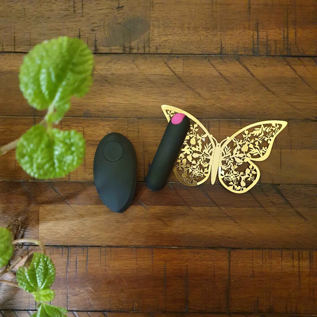 Womanizer Remote Clit Stimulator Vibrator