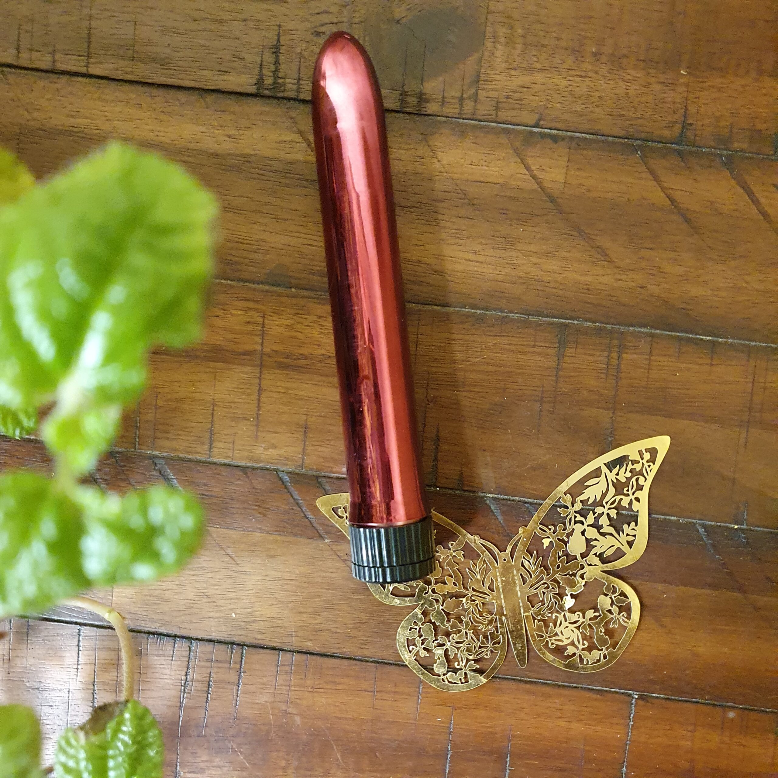 Bullet Point Vibrator