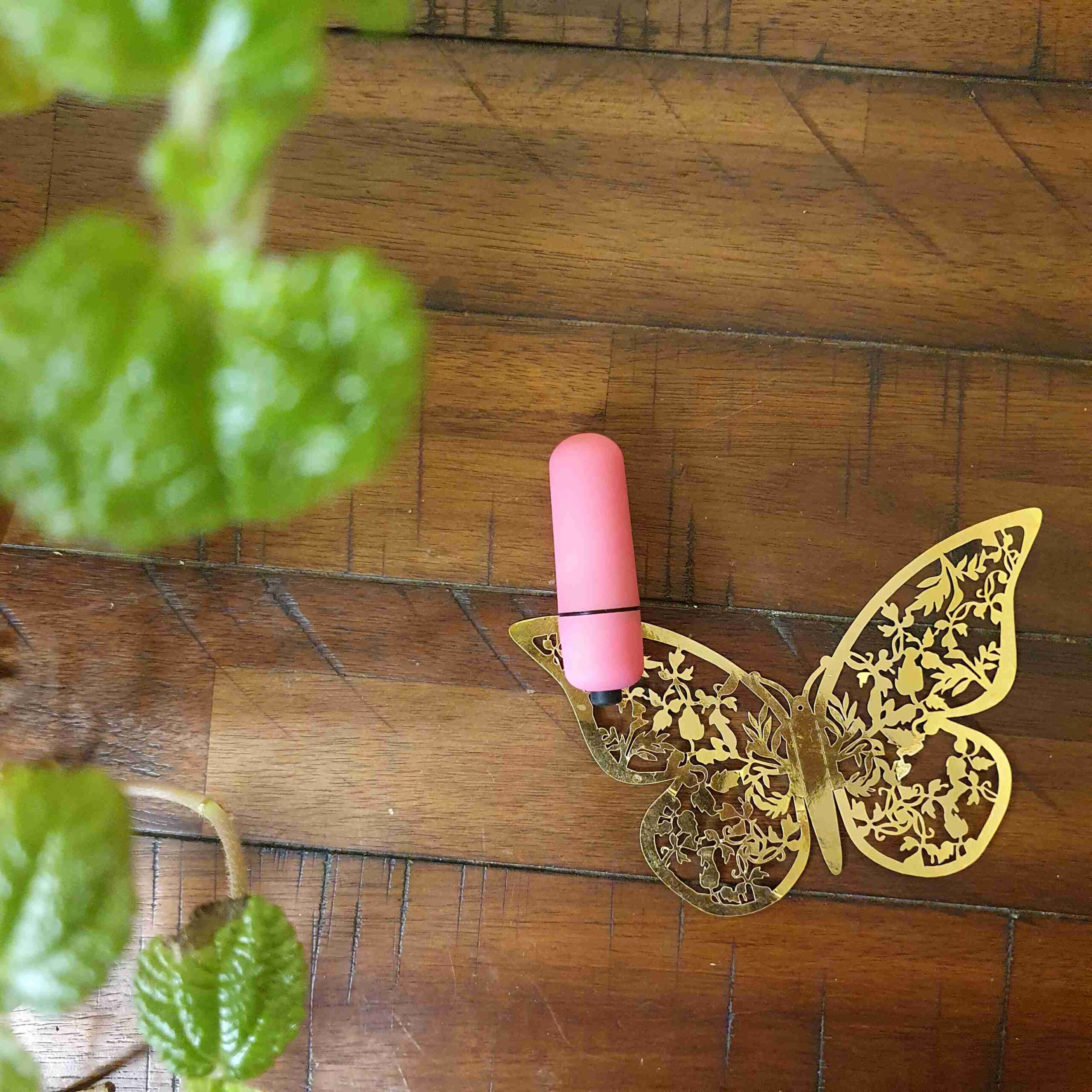 Bliss Mini Bullet Vibrator