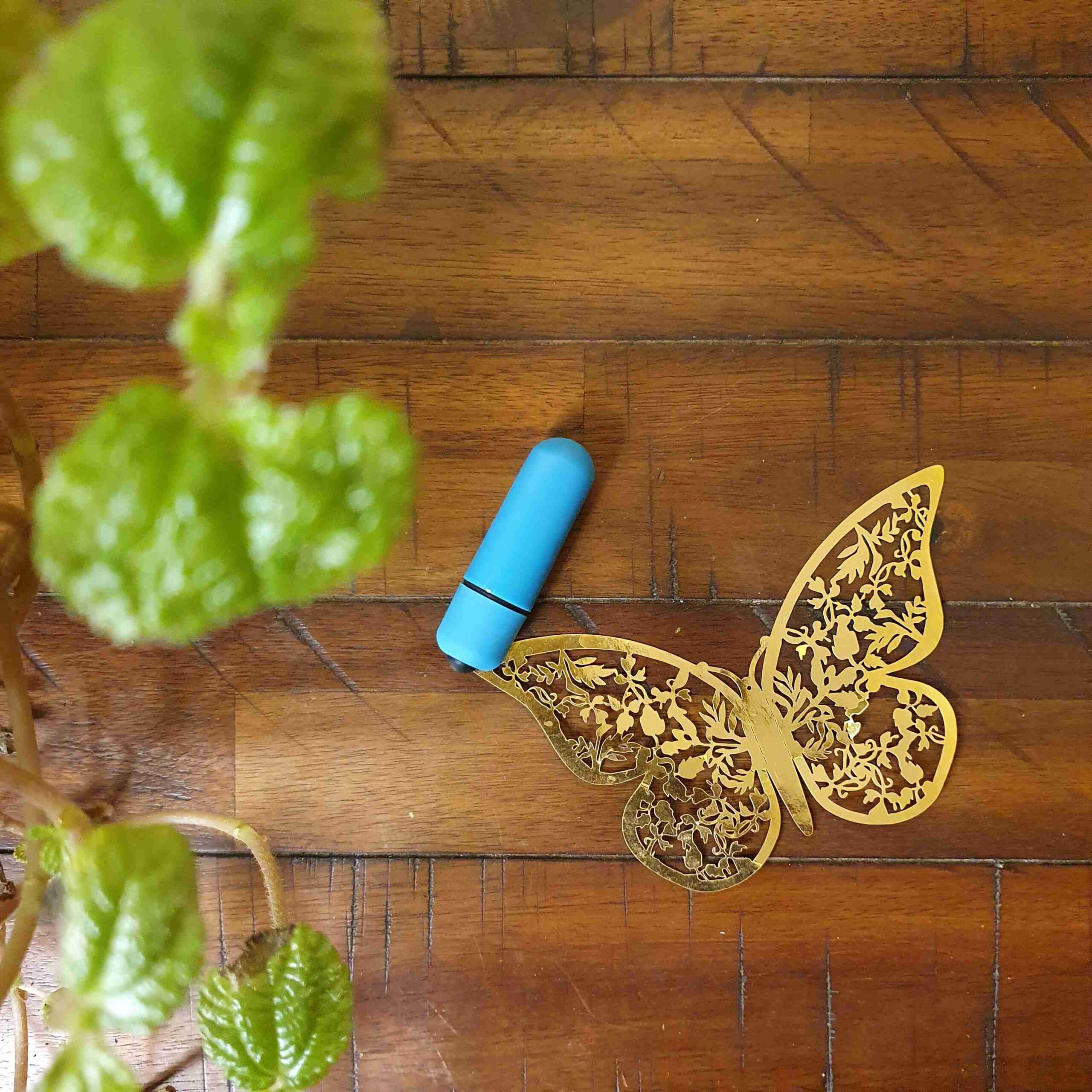 Bliss Mini Bullet Vibrator