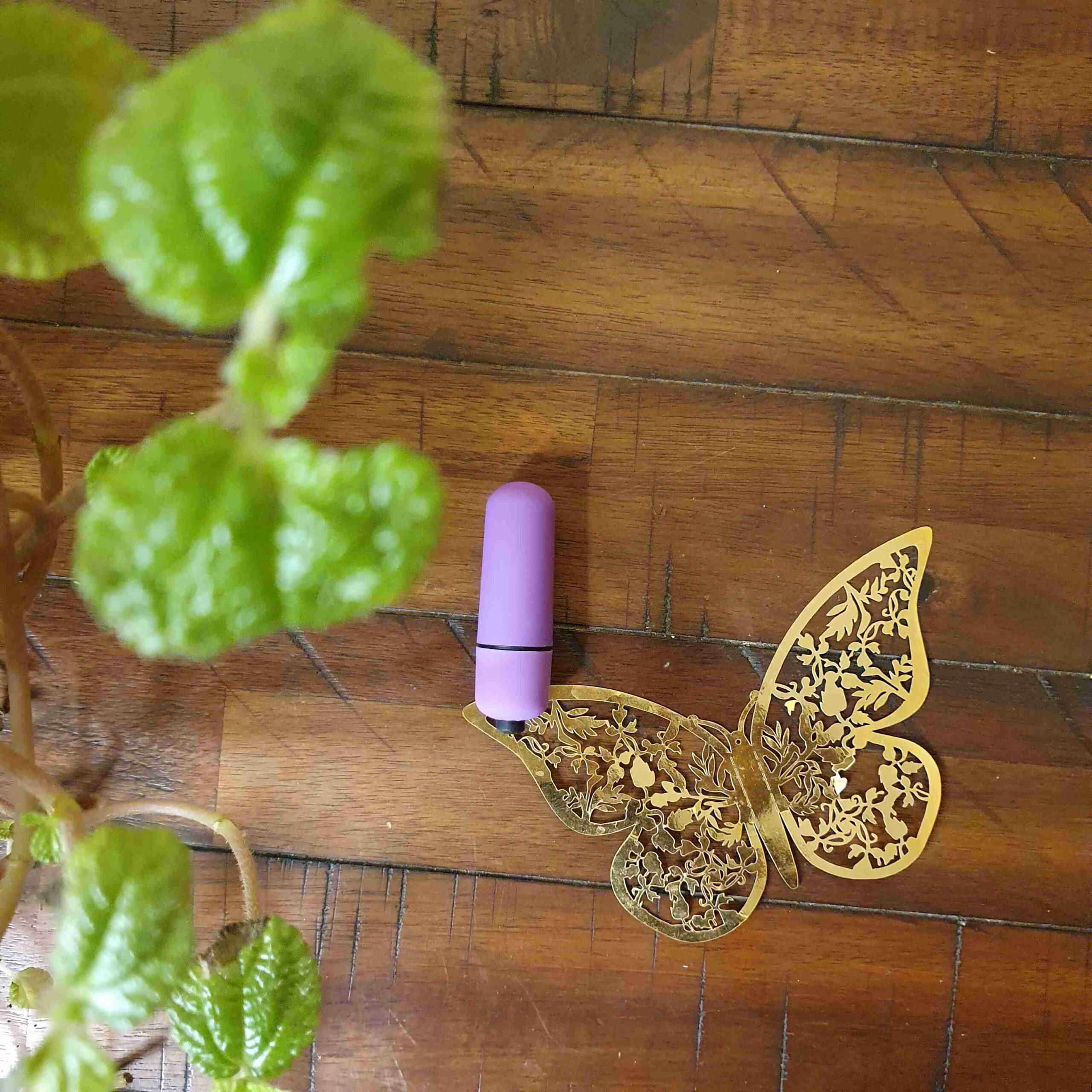 Bliss Mini Bullet Vibrator