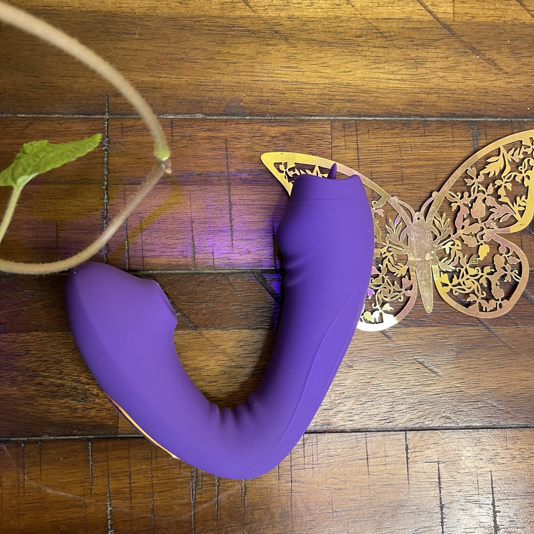 Eva Clitoral Suction and Licking Vibrator - Image 5